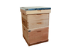 Pine Dadant Beehive
