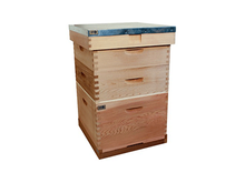 Pine Dadant Beehive