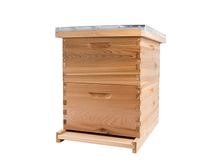 Beegiven Langstroth Beehive